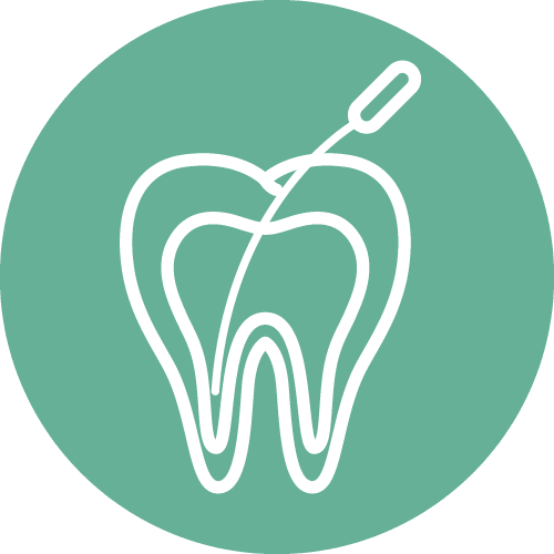 Dentist in Houston | Root Canal Icon